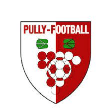 pully-football