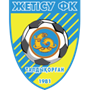 team-logo