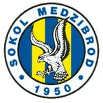 team-logo