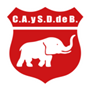 team-logo
