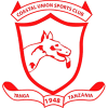 team-logo