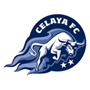 team-logo