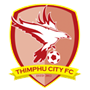 team-logo