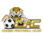 team-logo