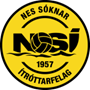 team-logo