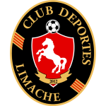 team-logo
