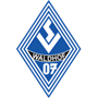 team-logo