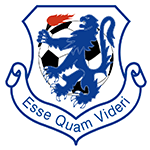 team-logo