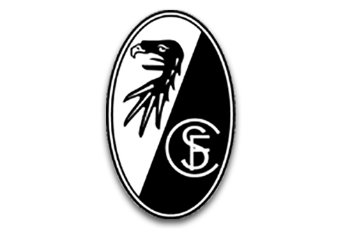 team-logo