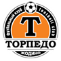 team-logo