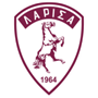 team-logo