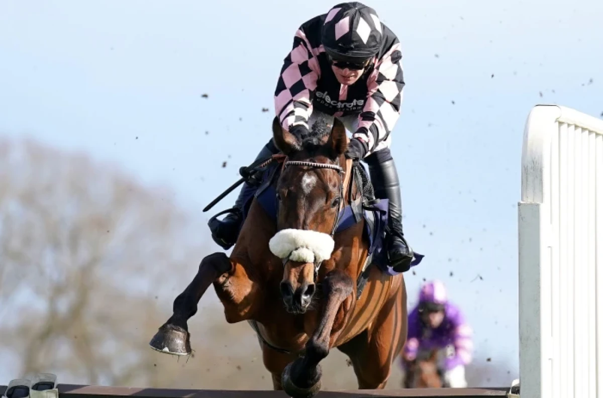 Trelawne ridden by David Bass