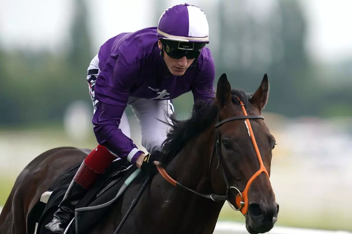 Mojo Star ridden by jockey David Egan