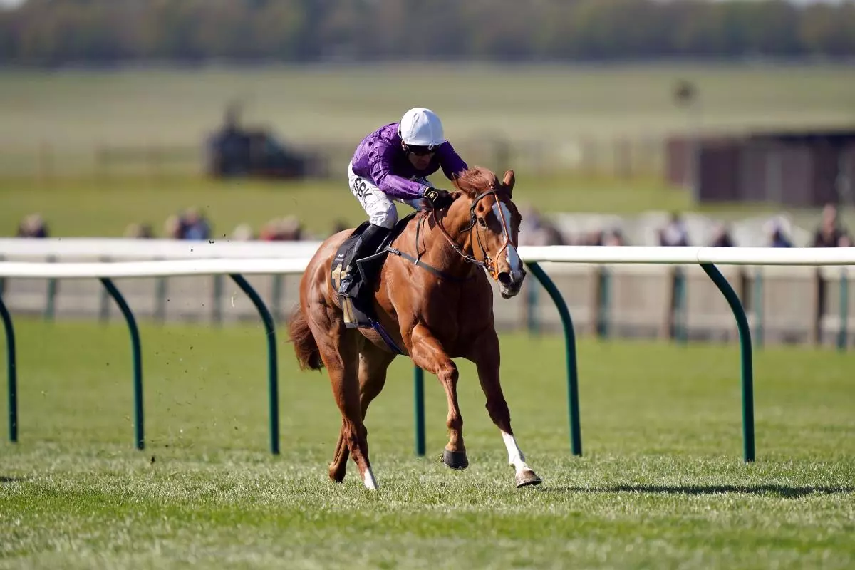 Mammas Girl ridden by jockey Sean Levey