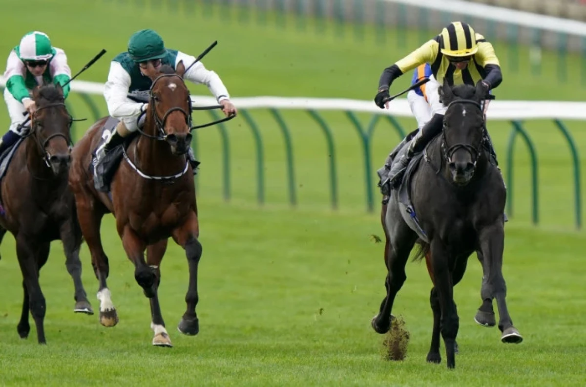Vandeek ridden by James Doyle