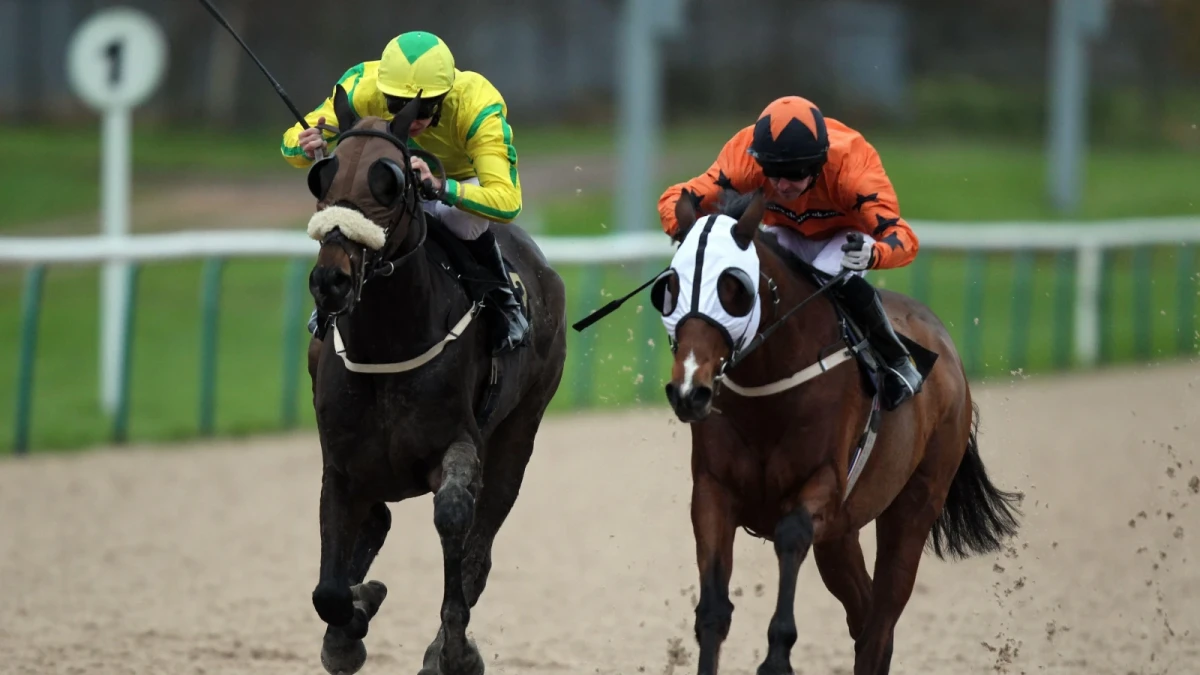 Wolverhampton racecourse