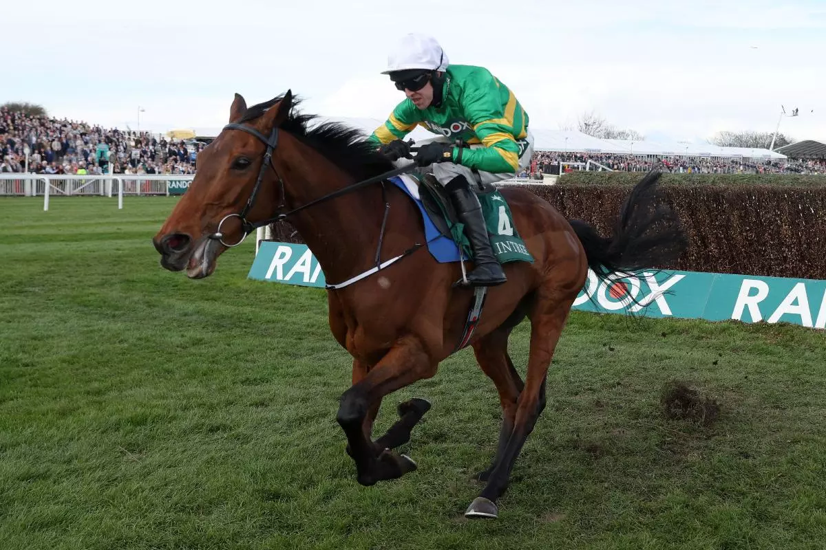 akir D'Oudairies ridden by M P Walsh