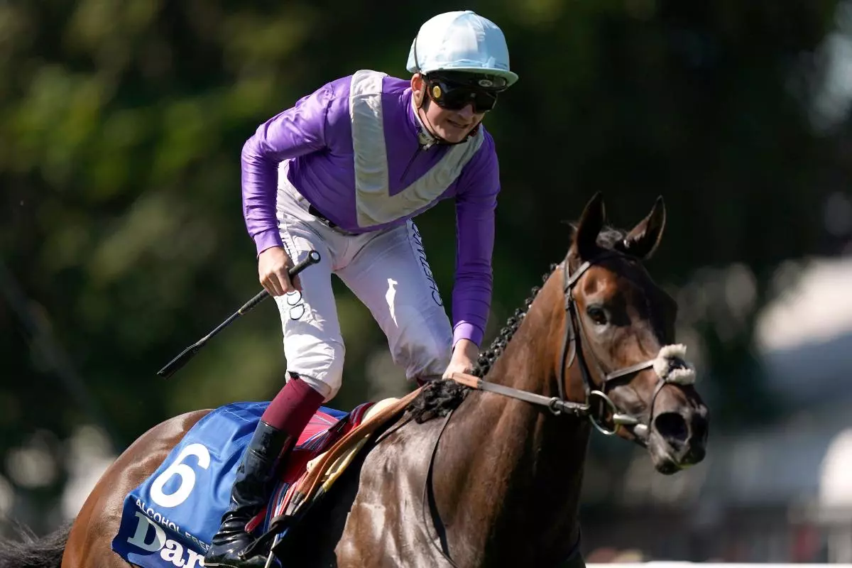 Alcohol Free ridden by jockey Rob Hornby 