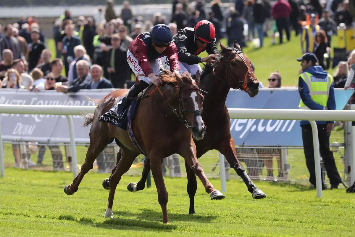 ROAD, ARISTIA, DANTE FESTIVAL 2022