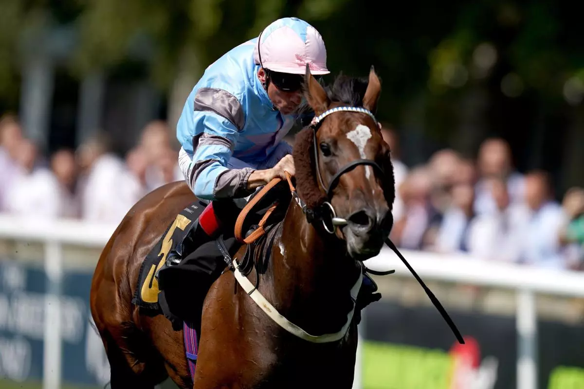Astral Beau ridden by Shane Kelly