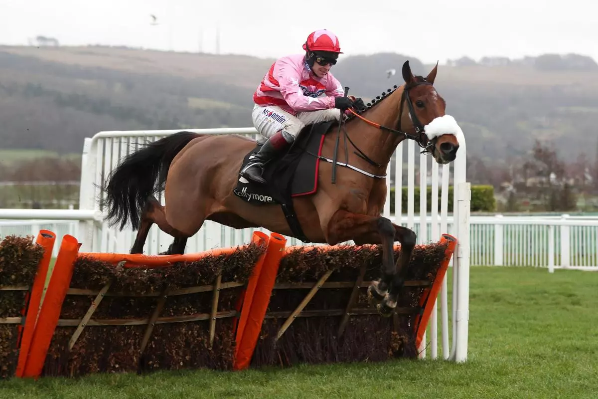 Brewin'upastorm ridden by Richard Johnson