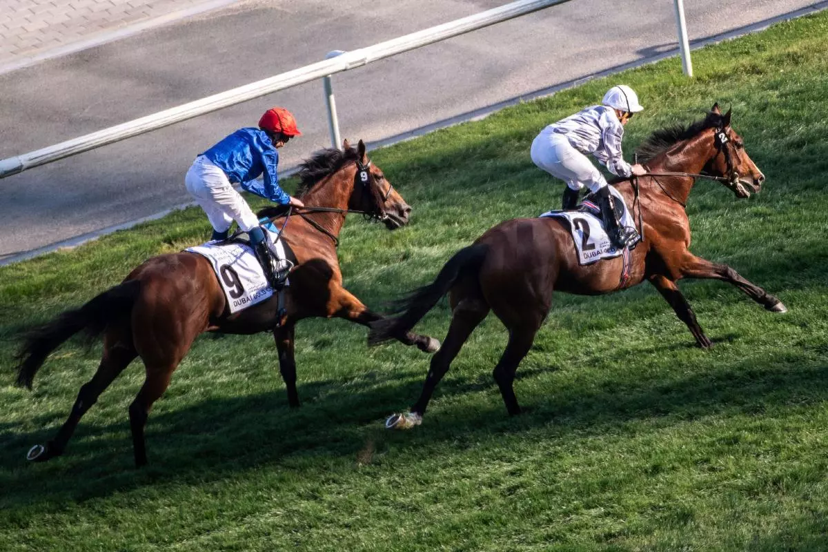 Broome with jockey Ryan Moore 