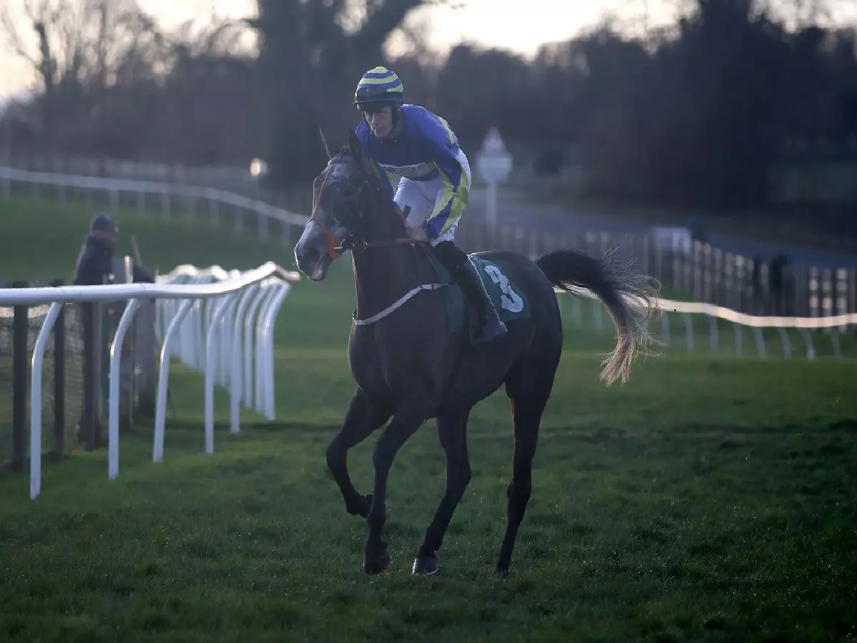 Burrow Seven with Oakley Brown up