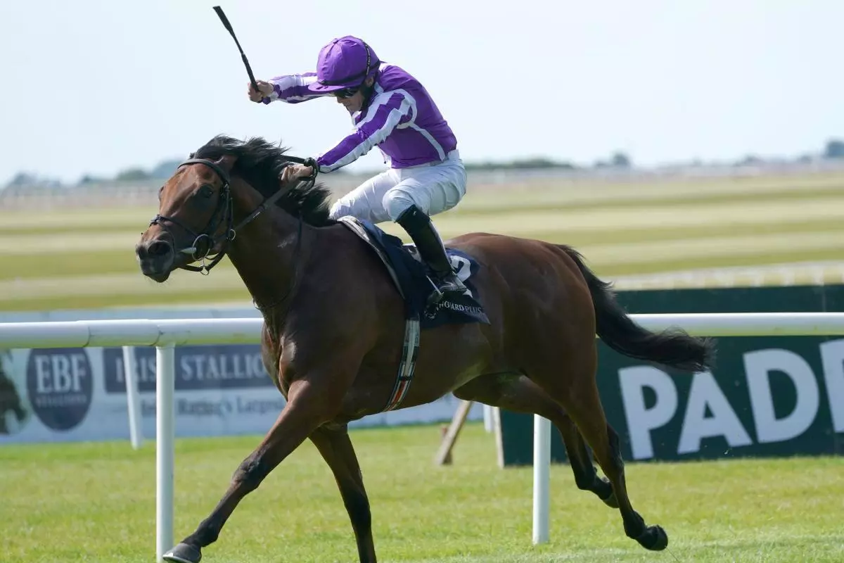 Cairo ridden by Wayne Lordan