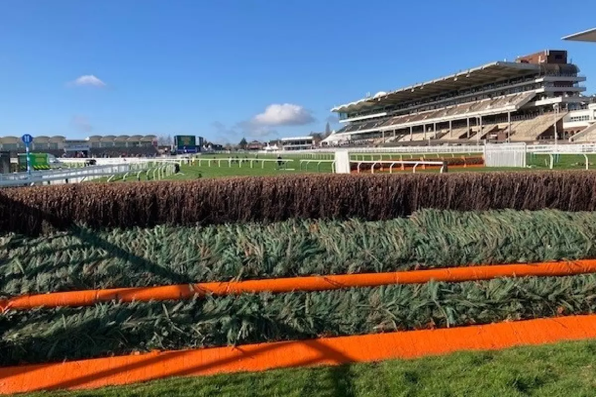 Cheltenham Festival fence
