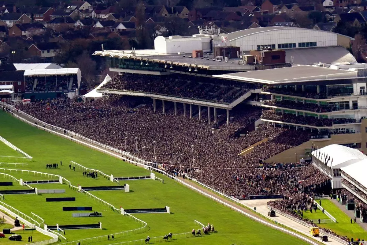 Cheltenham Festival stand