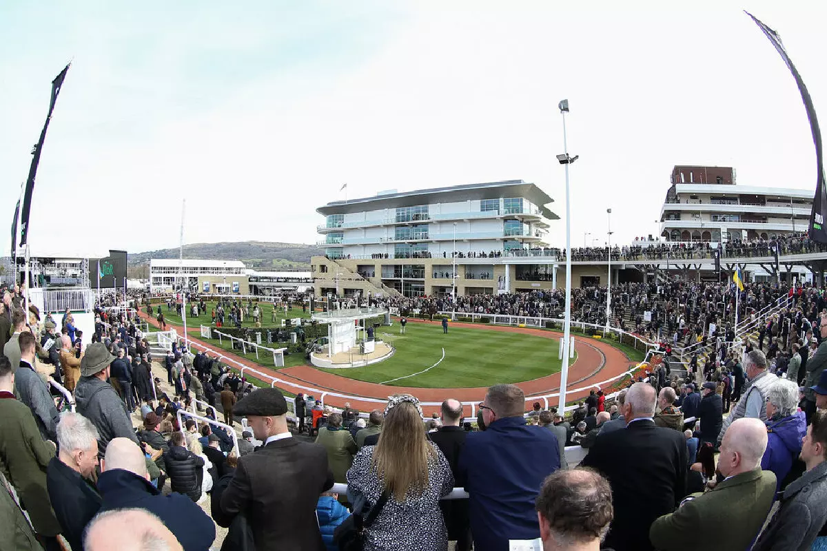 Cheltenham parade ring
