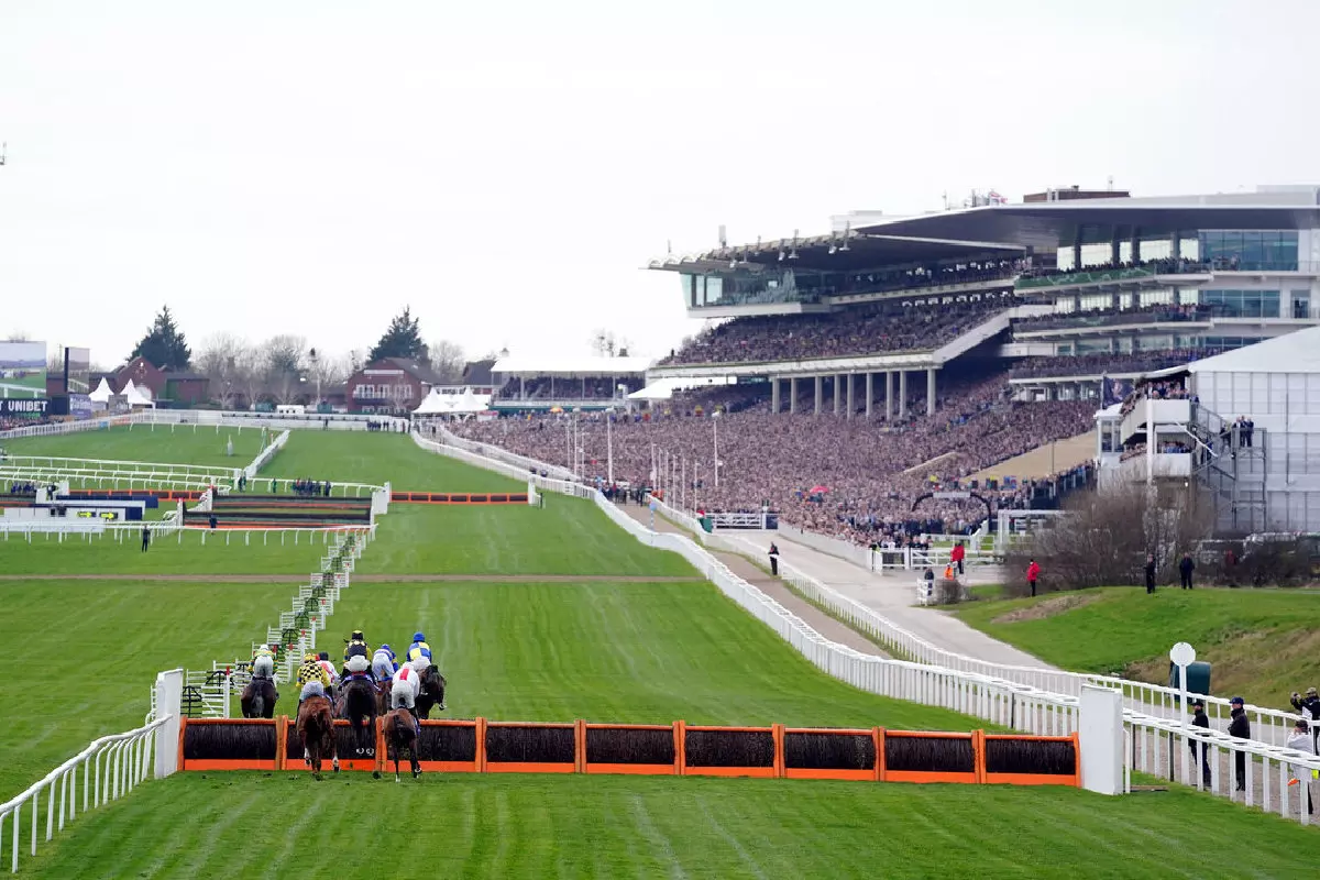 Cheltenham stands
