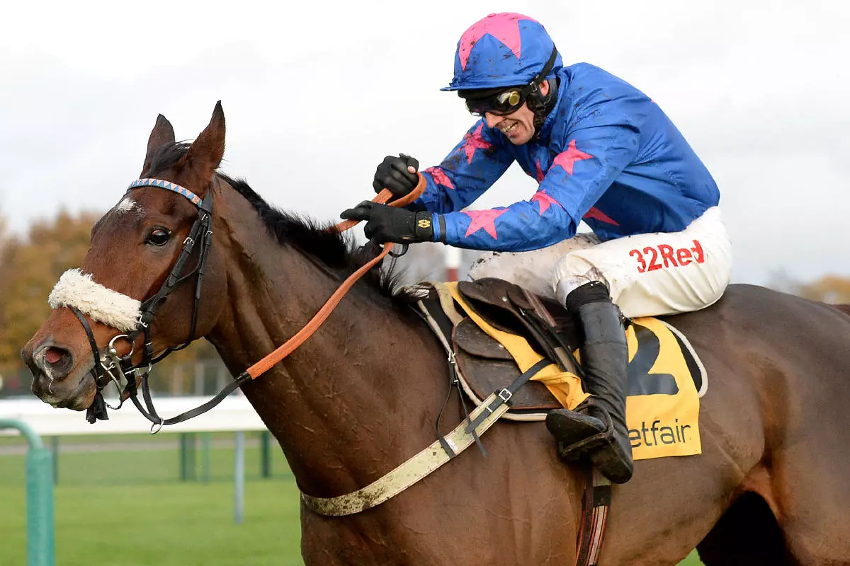 Cue Card ridden by Paddy Brennan