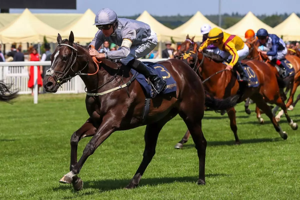 Dramatised ridden by jockey Daniel A. Tudhope