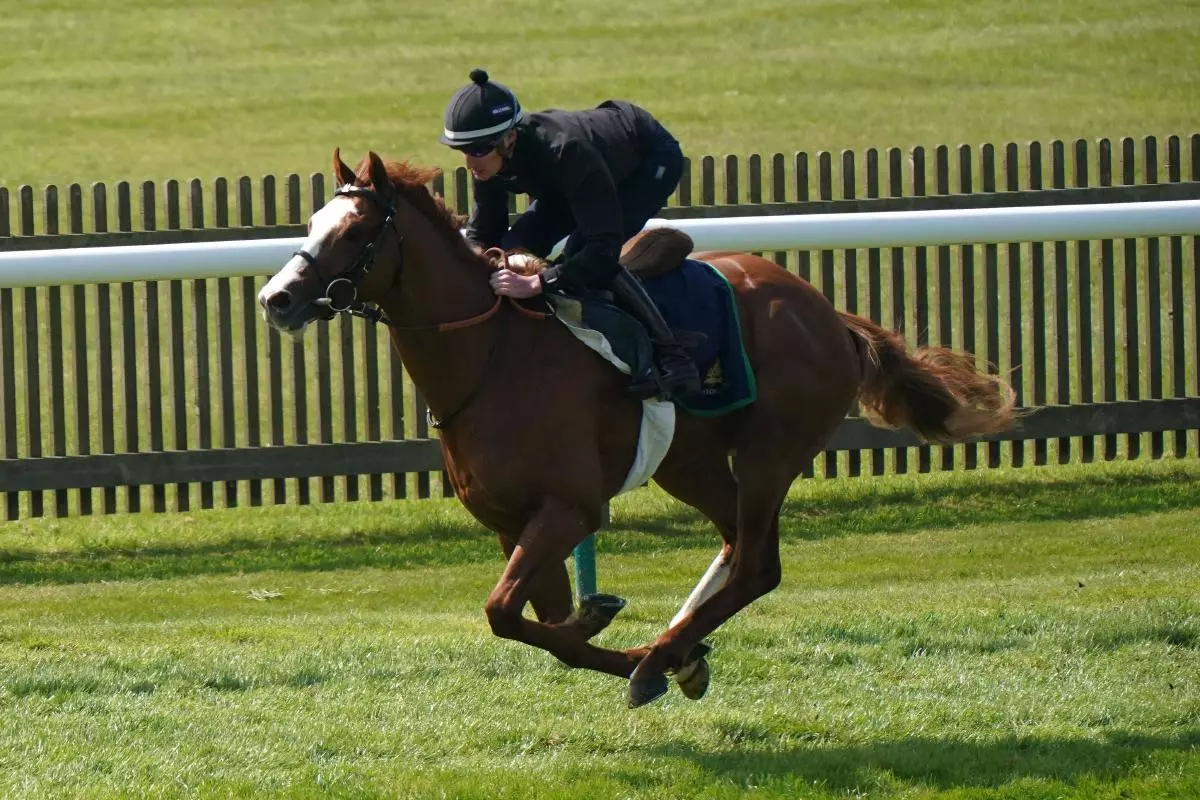 Dubai Mile gallops on the course on day two of the bet365 Craven Meeting at Newmarket 