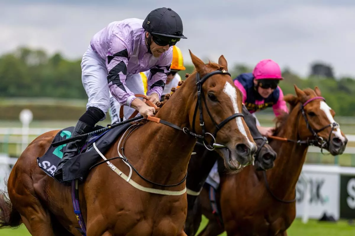 Dutch Decoy ridden by jockey Ben Curtis