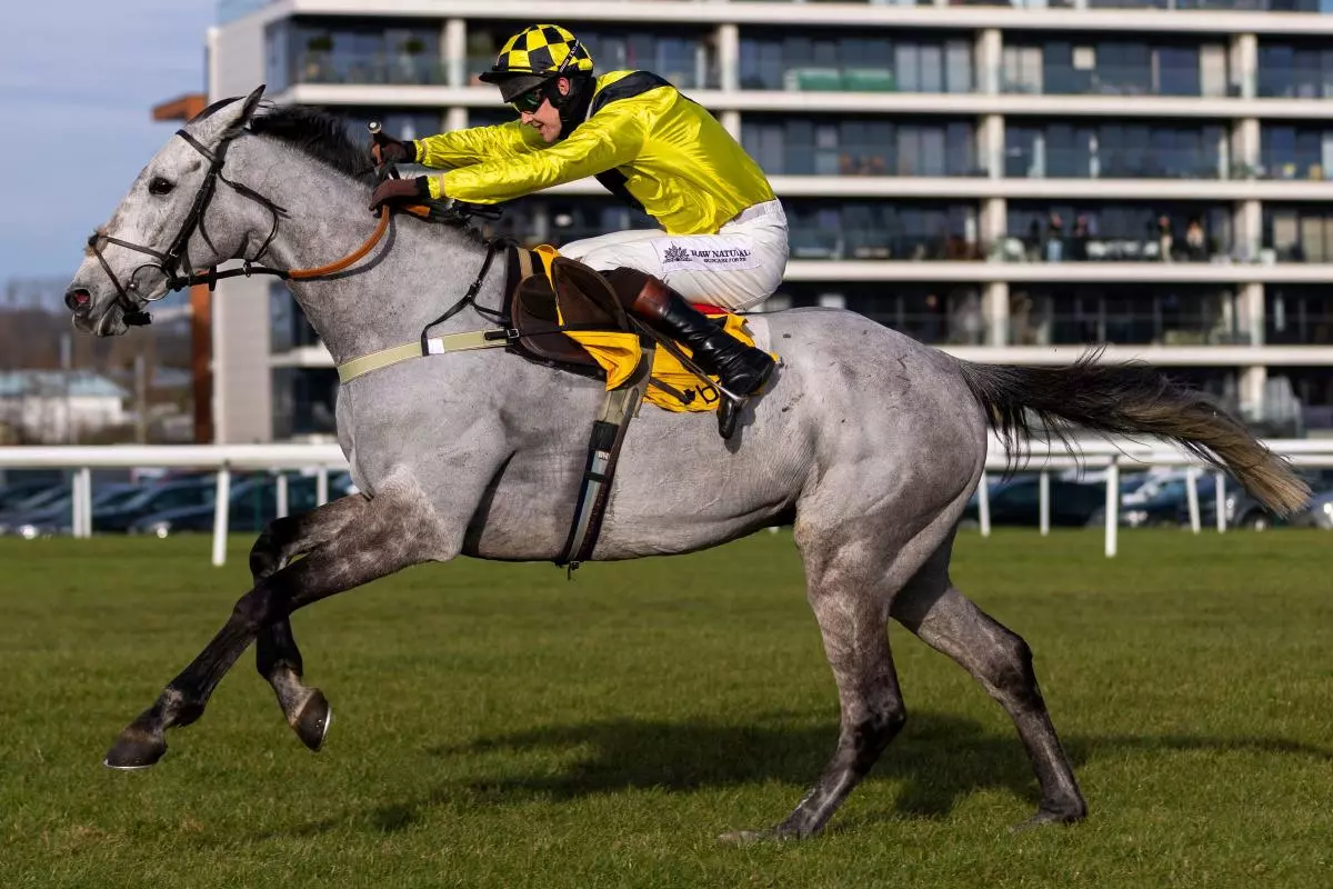 Eldorado Allen ridden by jockey Brendan Powell