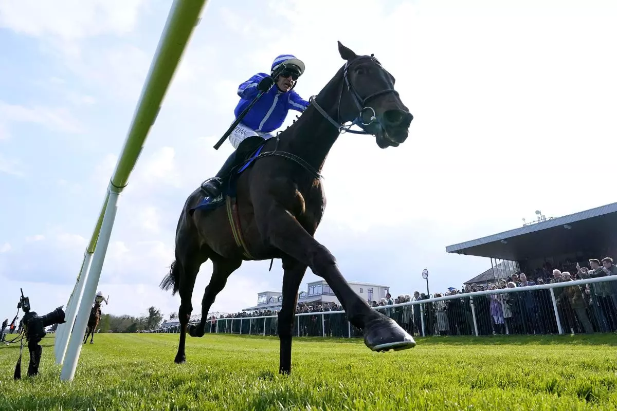 Defending champion Energumene 