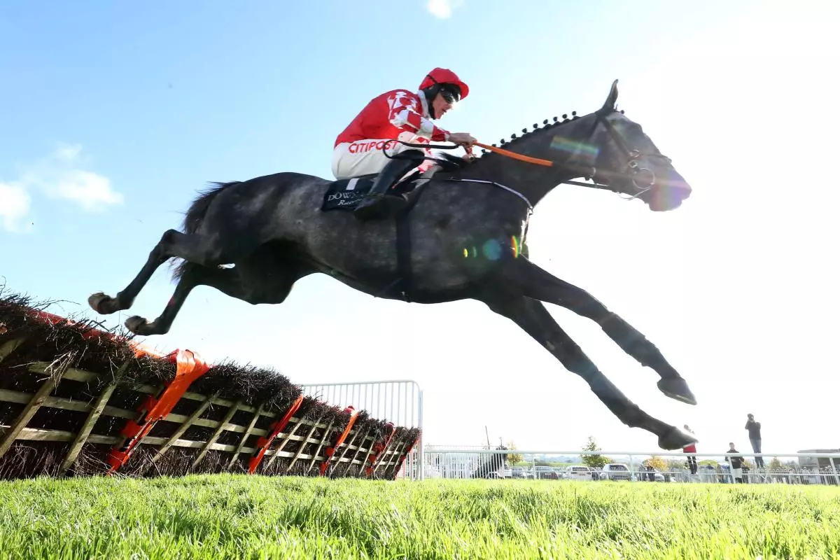 Fil Dor ridden by jockey Davy Russell
