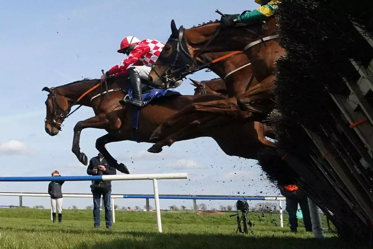 Flame Bearer ridden by Jack Doyle