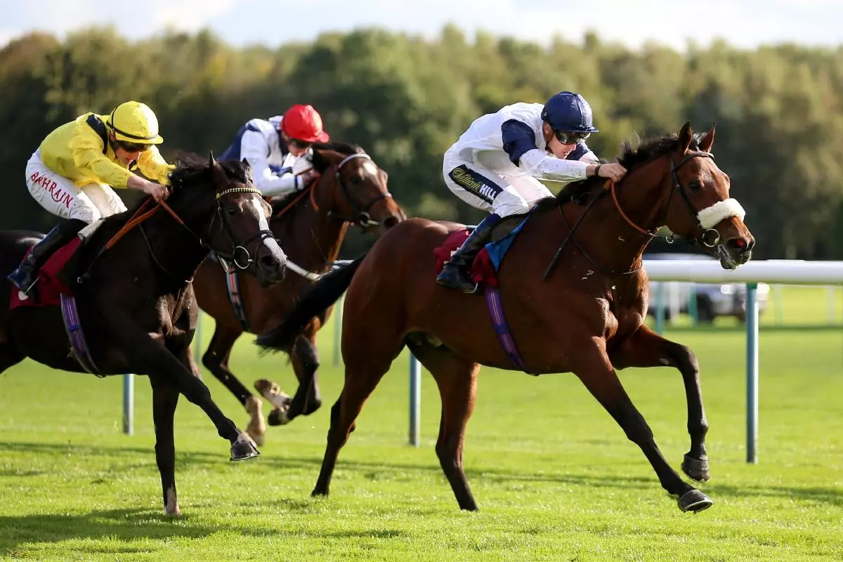 Franz ridden by Kevin Stott wins The Casumo Horse Racing And Sports Betting EBF Novice Stakes 