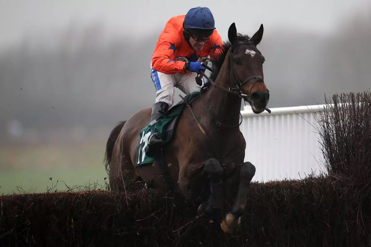 Gericault Rroque ridden by Tom Scudamore