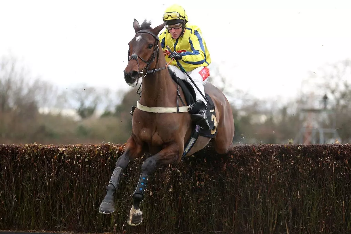 Haddex Des Obeaux ridden by Jamie Moore
