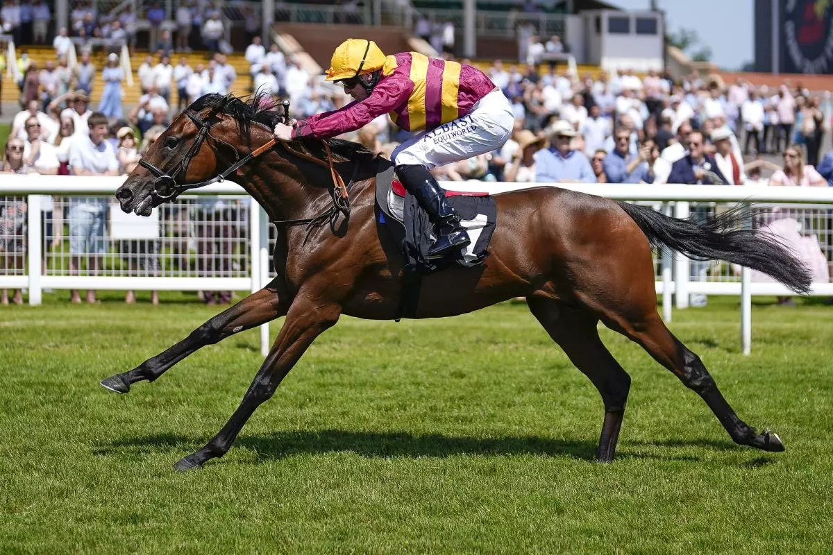 Jack Mitchell riding Bayside Boy