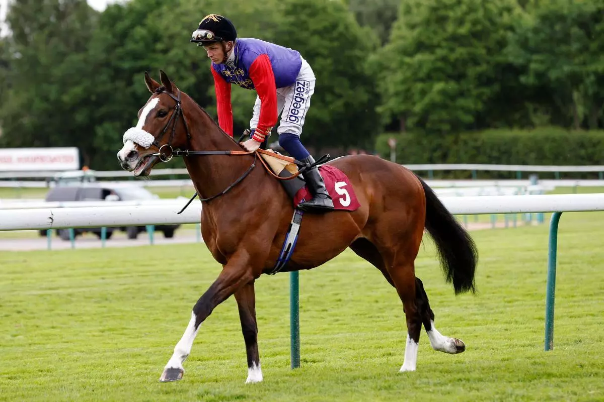 King's Lynn ridden by David Probert