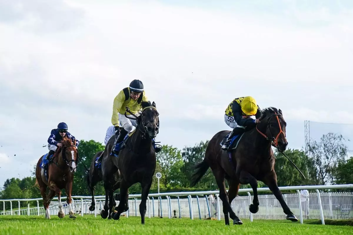 Leicester racecourse
