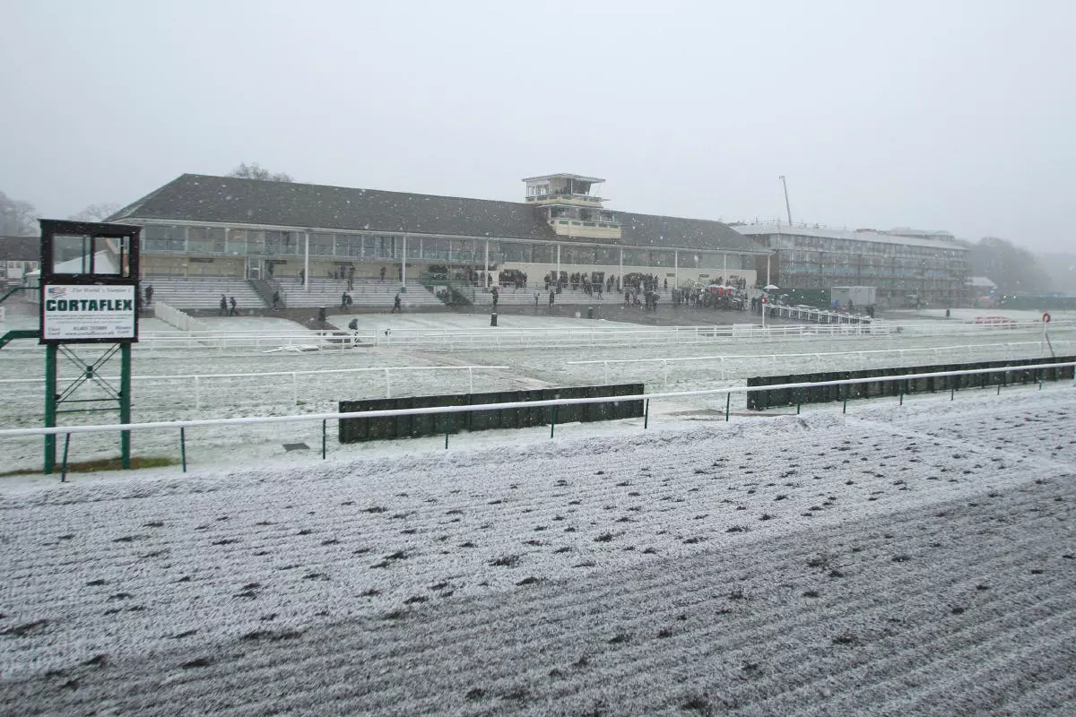 Lingfield in the snow and frost