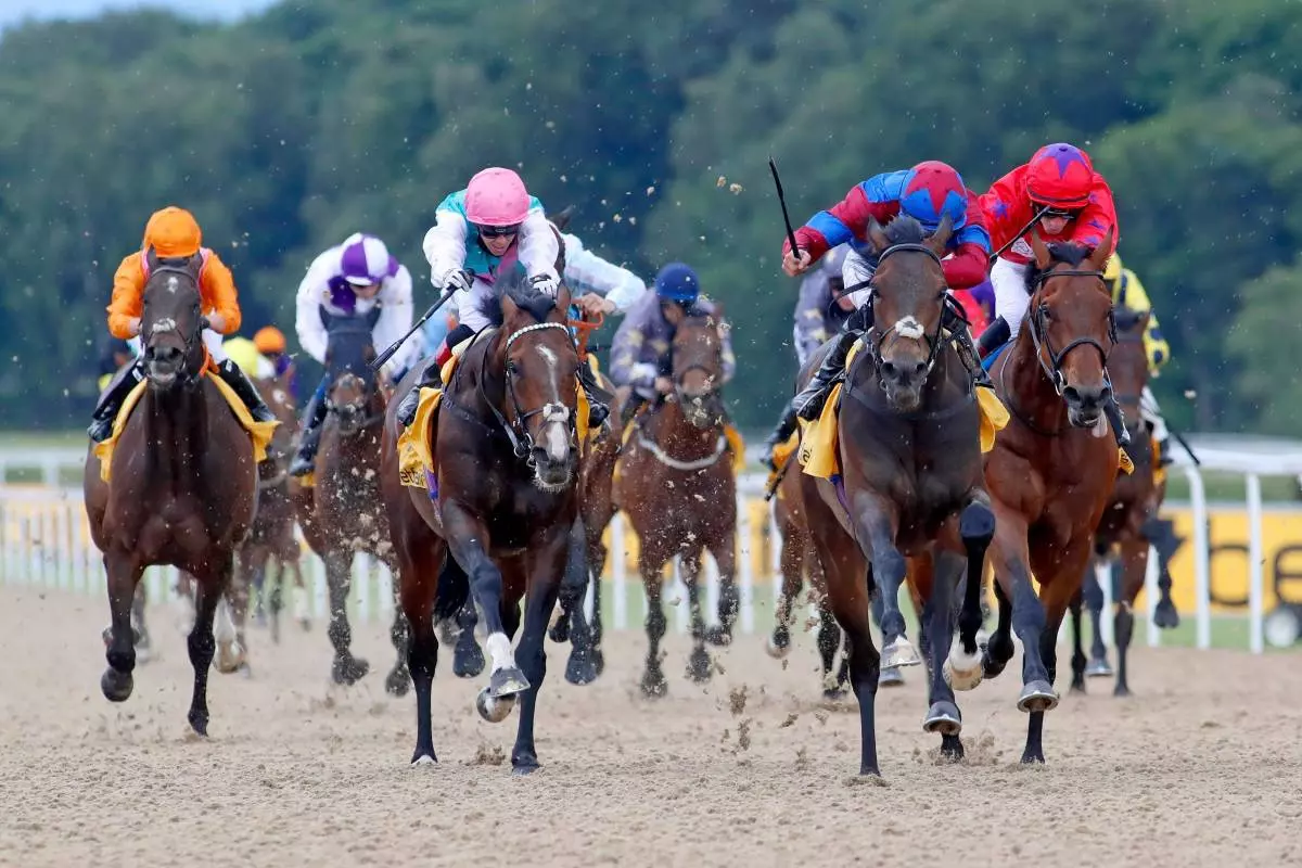 Newcastle racecourse 