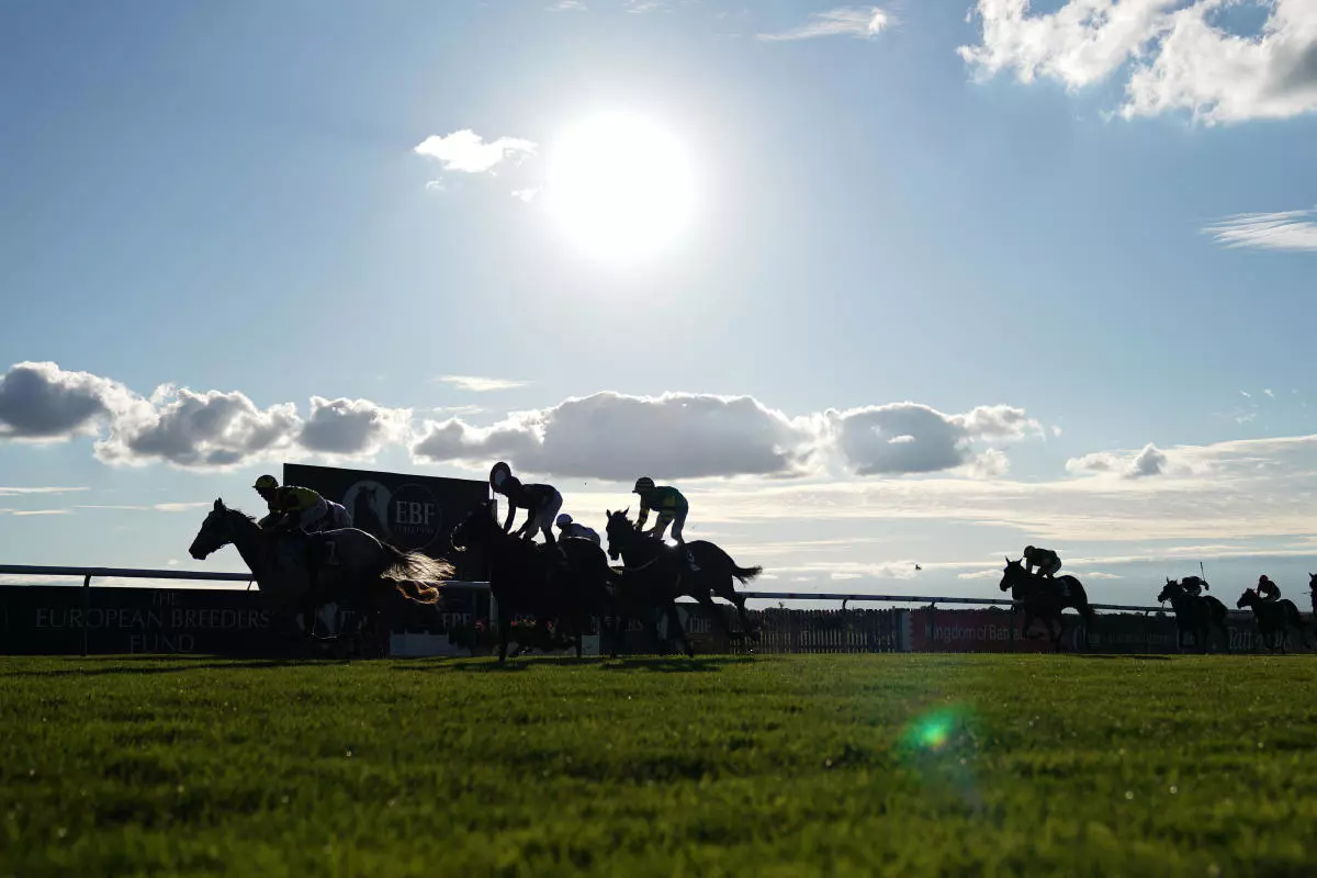 Newmarket racecourse in the sun