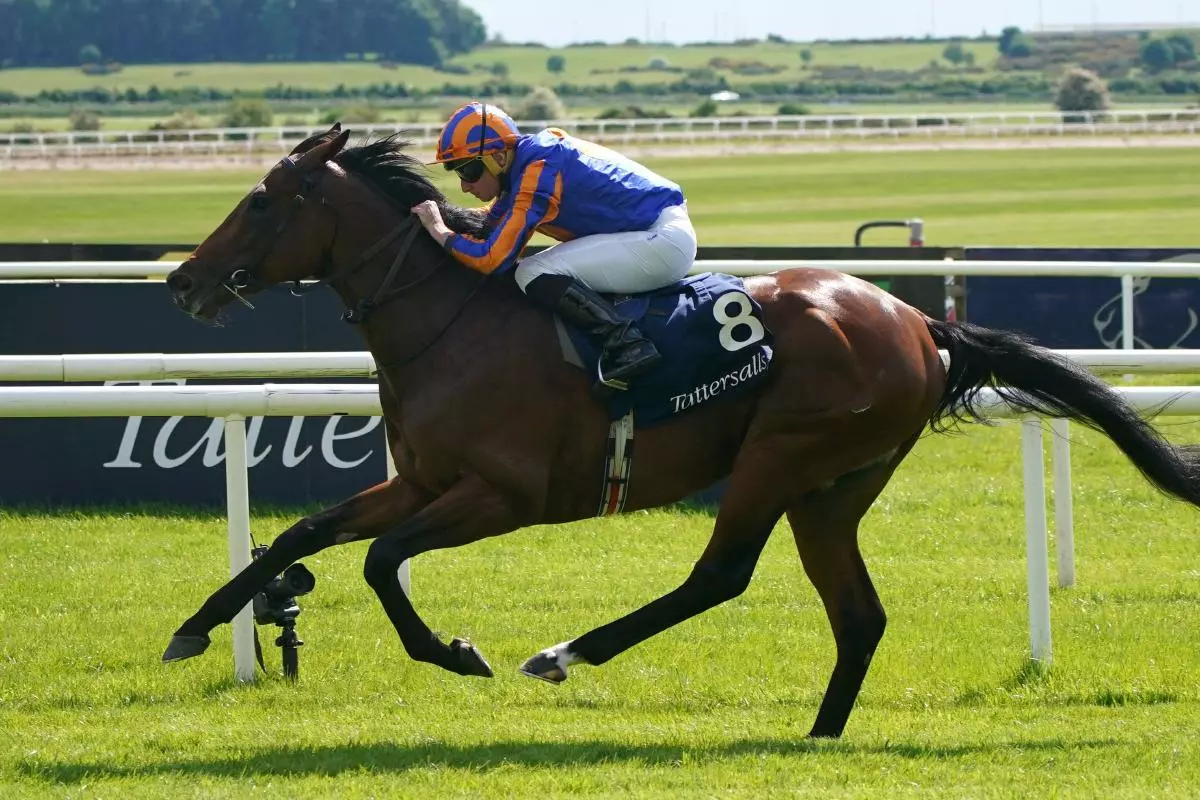 Paddington ridden by Ryan Moore